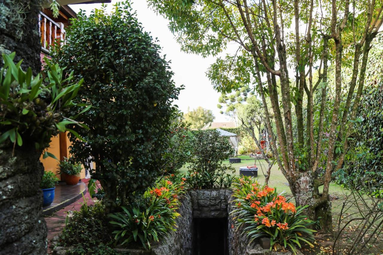 Cedro Do Libano Inn 4*